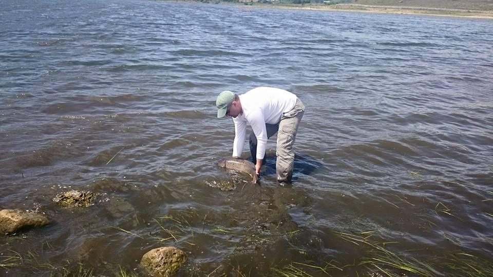 o partida dificila - 109953365517045016357361208507764853589166n.jpg